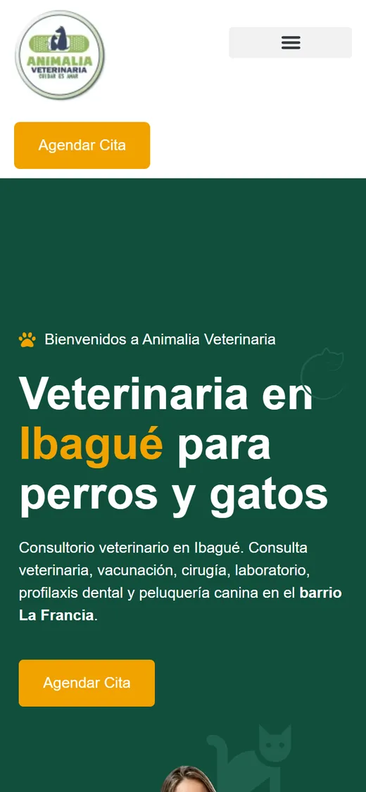Ejemplo de web móvil