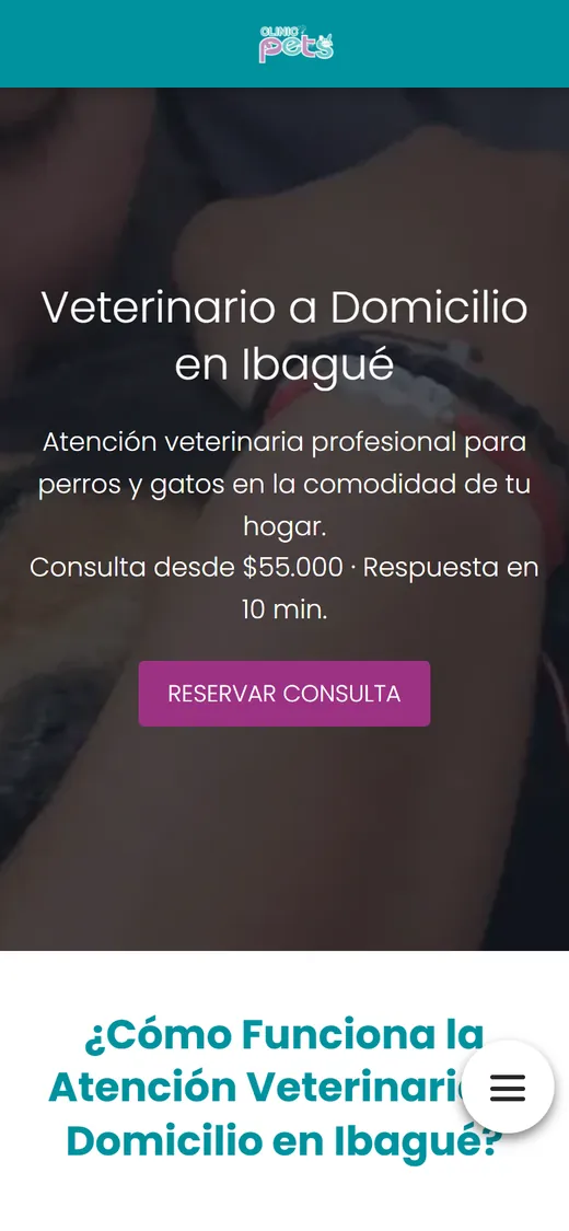 Ejemplo de web móvil