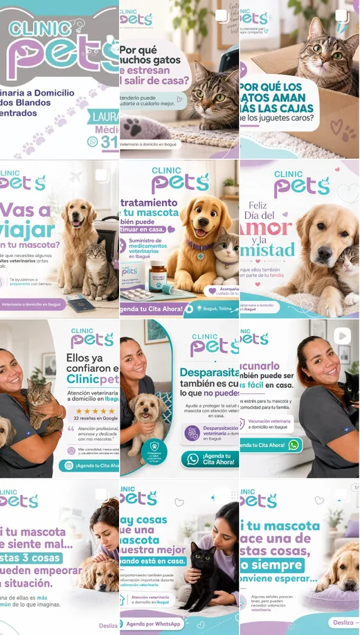 Instagram de ClinicPets gestionado por WebMarketersPro